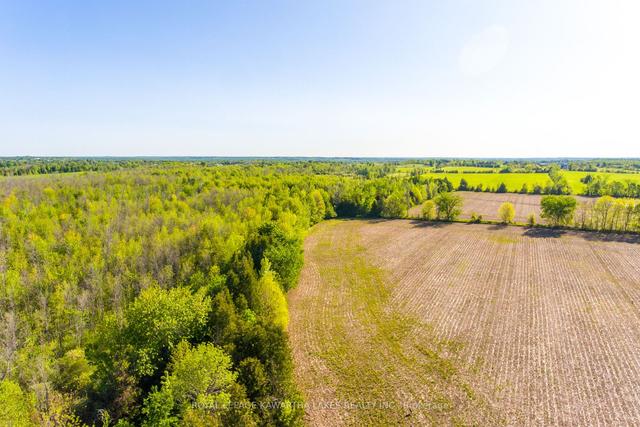 0 W1/2 Lot2 C2 Harvest Rd, Home with 0 bedrooms, 0 bathrooms and null parking in Kawartha Lakes ON | Image 9