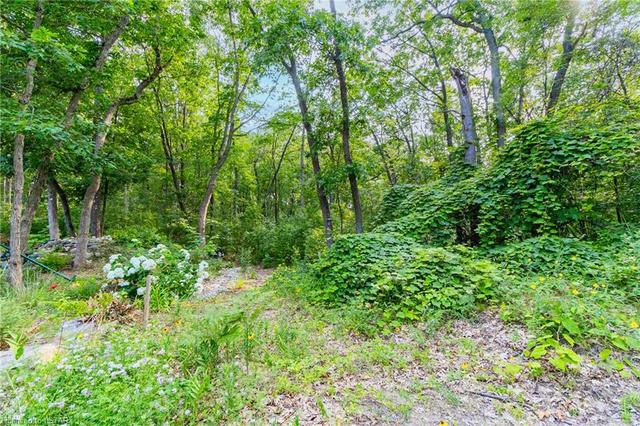 .554 acre wooded lot, steps from Pinery Park and nestled within the Oak Savannah forest setting | Image 5