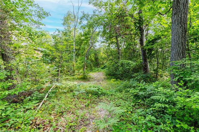 .554 acre wooded lot, steps from Pinery Park and nestled within the Oak Savannah forest setting | Image 3