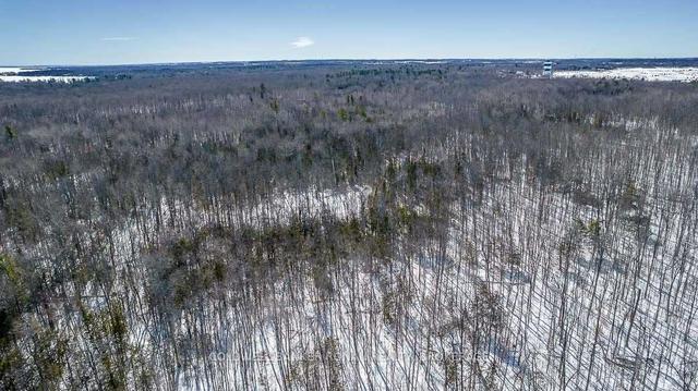 0 13th Line, Home with 0 bedrooms, 0 bathrooms and null parking in Innisfil ON | Image 4