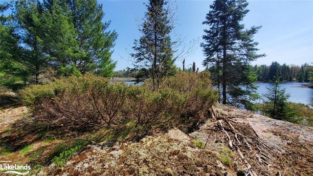 1757 Bear Cave Road, House detached with 2 bedrooms, 1 bathrooms and 8 parking in Muskoka Lakes ON | Image 33