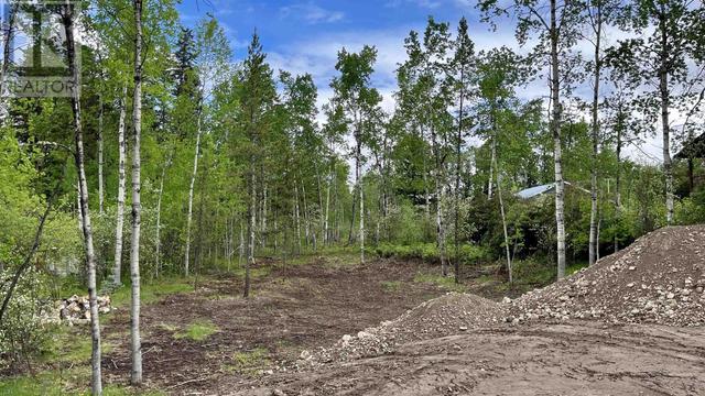 lot 46 Chilcotin Crescent, House detached with 3 bedrooms, 2 bathrooms and null parking in Cariboo G BC | Image 4