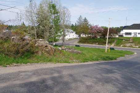 0 Hwy 124 Hllw E, Home with 0 bedrooms, 0 bathrooms and null parking in McDougall ON | Image 5