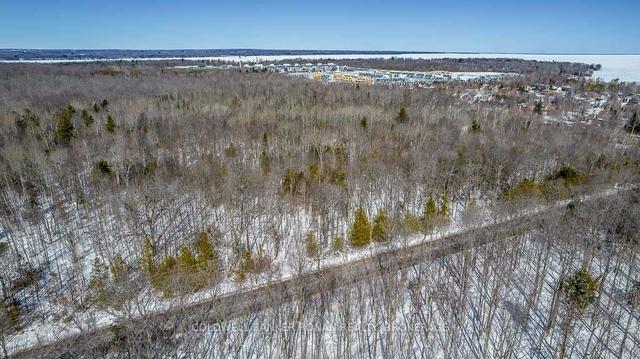 0 13th Line, Home with 0 bedrooms, 0 bathrooms and null parking in Innisfil ON | Image 14