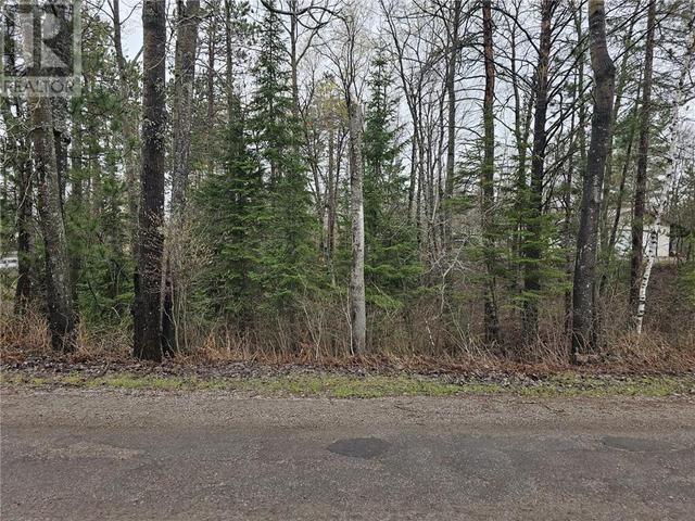 00 Stoppa Street, Home with 0 bedrooms, 0 bathrooms and null parking in Madawaska Valley ON | Image 5