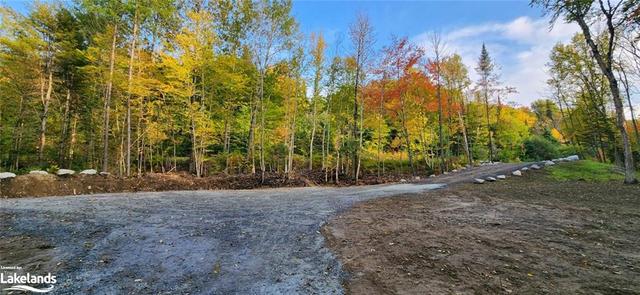 00 Deer Lake Road, Home with 0 bedrooms, 0 bathrooms and null parking in Perry ON | Image 22