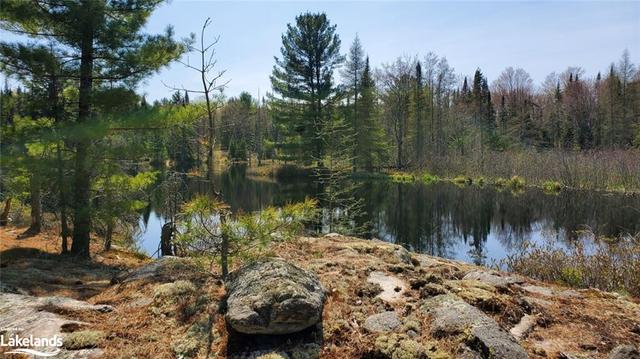 1757 Bear Cave Road, House detached with 2 bedrooms, 1 bathrooms and 8 parking in Muskoka Lakes ON | Image 28