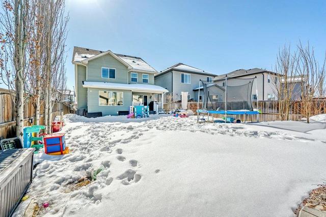 223 Chapalina Heights Se, House detached with 5 bedrooms, 3 bathrooms and 4 parking in Calgary AB | Image 40