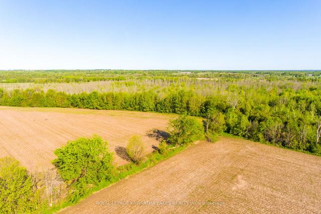0 W1/2 Lot2 C2 Harvest Rd, Home with 0 bedrooms, 0 bathrooms and null parking in Kawartha Lakes ON | Image 3