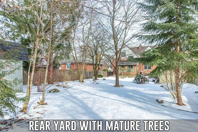 1028 Kipling Ave, House detached with 2 bedrooms, 1 bathrooms and 5 parking in Toronto ON | Image 4
