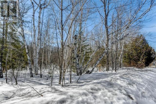 00 Old Fire Tower Road, Home with 0 bedrooms, 0 bathrooms and null parking in Greater Madawaska ON | Image 3