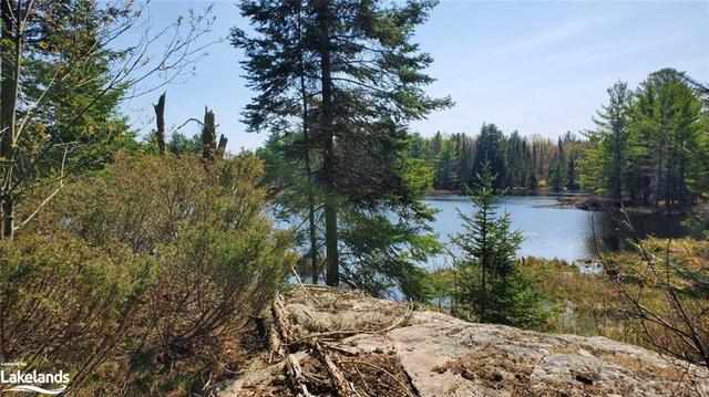 1757 Bear Cave Road, House detached with 2 bedrooms, 1 bathrooms and 8 parking in Muskoka Lakes ON | Image 31