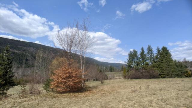 6771 Katelnikoff Road, House detached with 2 bedrooms, 1 bathrooms and null parking in Central Kootenay H BC | Image 22