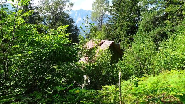 8788 Highway 6, House detached with 2 bedrooms, 2 bathrooms and null parking in Central Kootenay H BC | Image 5