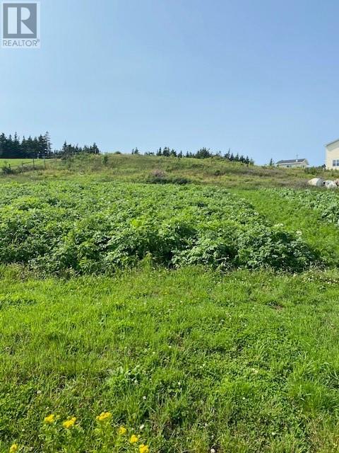 6 Back Road, House detached with 3 bedrooms, 1 bathrooms and null parking in Pouch Cove NL | Image 5