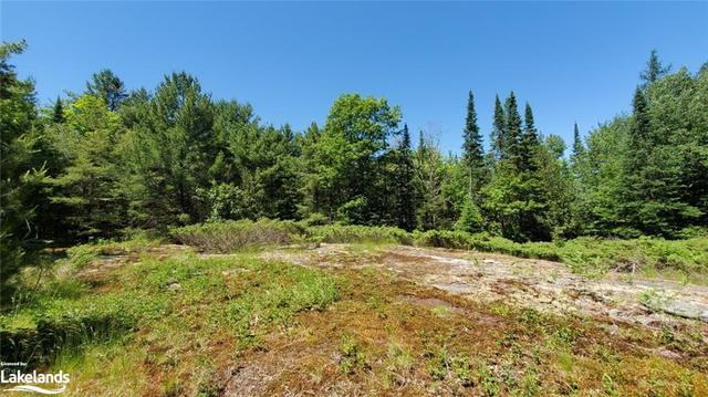 1757 Bear Cave Road, House detached with 2 bedrooms, 1 bathrooms and 8 parking in Muskoka Lakes ON | Image 42