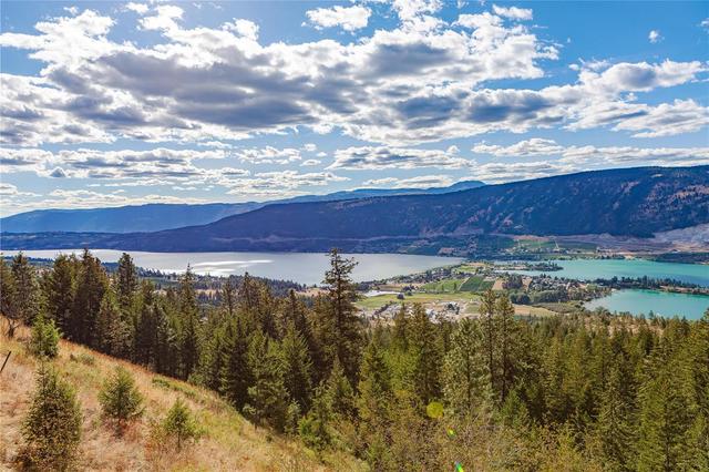 5572 Oyama Lake Road, House detached with 4 bedrooms, 2 bathrooms and 26 parking in Columbia Shuswap F BC | Image 2