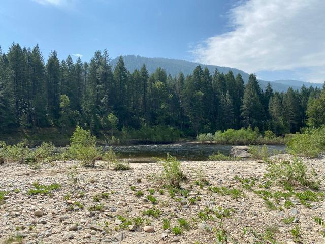 855 Highway 3, House detached with 4 bedrooms, 4 bathrooms and null parking in Kootenay Boundary C BC | Image 58