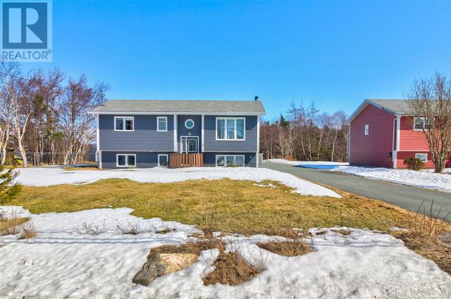 95 Peachytown Road, House detached with 4 bedrooms, 2 bathrooms and null parking in Conception Bay South NL | Image 24
