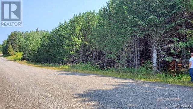 00 - 390 Route, Home with 0 bedrooms, 0 bathrooms and null parking in Tobique 20 NB | Image 2