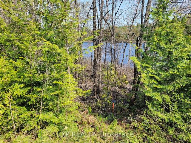 00 River Rd, Home with 0 bedrooms, 0 bathrooms and null parking in North Frontenac ON | Image 11
