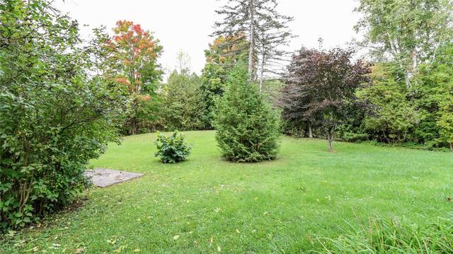 984 Lakeshore Rd E, House detached with 2 bedrooms, 1 bathrooms and 8 parking in Oro Medonte ON | Image 33