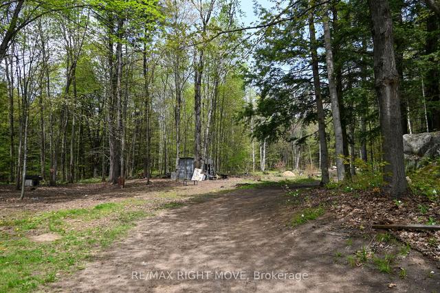 1024 Sparrow Lake Route D Rd, House detached with 3 bedrooms, 2 bathrooms and 11 parking in Gravenhurst ON | Image 29