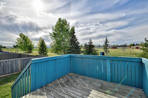 9816 94 Street, House detached with 4 bedrooms, 2 bathrooms and 4 parking in Greenview No. 16 AB | Image 17
