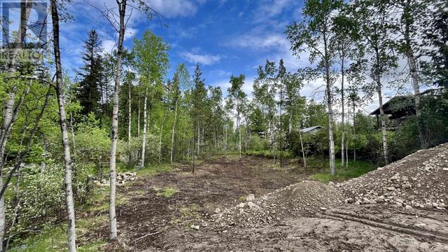 lot 46 Chilcotin Crescent, House detached with 3 bedrooms, 2 bathrooms and null parking in Cariboo G BC | Image 7