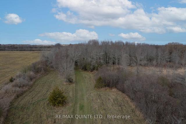 381 Partridge Hollow Rd, House detached with 4 bedrooms, 2 bathrooms and 10 parking in Prince Edward County ON | Image 31