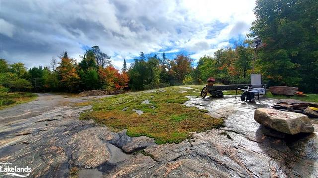 1757 Bear Cave Road, House detached with 2 bedrooms, 1 bathrooms and 8 parking in Muskoka Lakes ON | Image 1