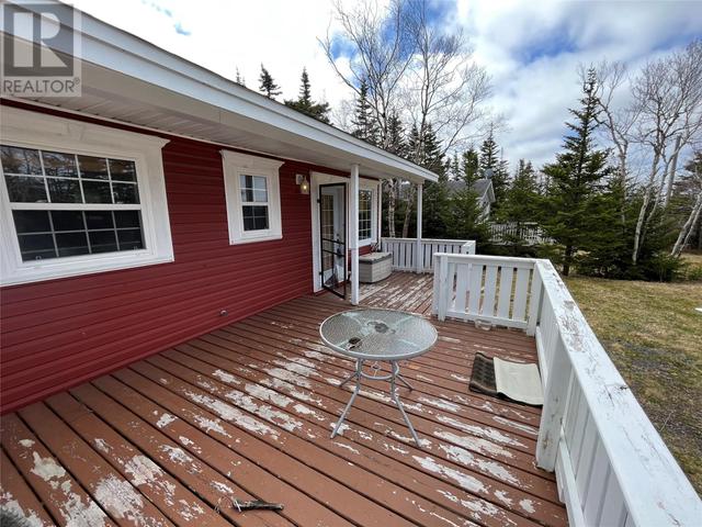 96 Hodgewater Line, House detached with 3 bedrooms, 1 bathrooms and null parking in South River NL | Image 18