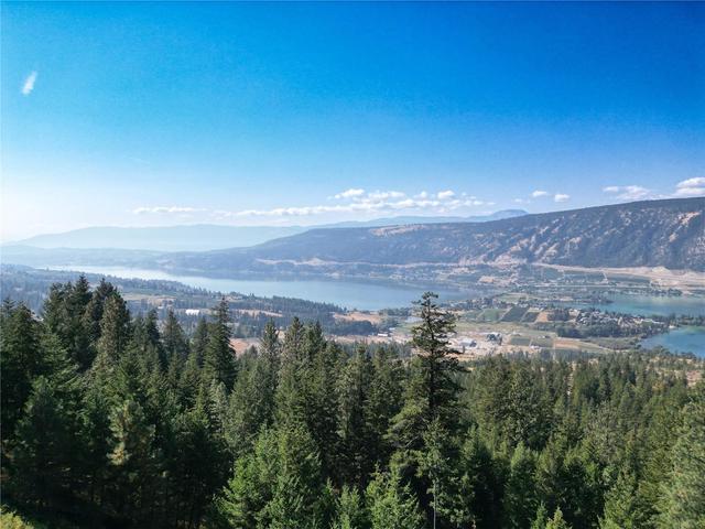 5572 Oyama Lake Road, House detached with 4 bedrooms, 2 bathrooms and 26 parking in Columbia Shuswap F BC | Image 54