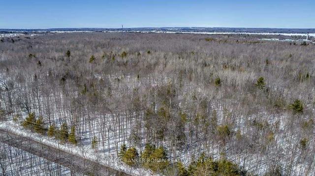 0 13th Line, Home with 0 bedrooms, 0 bathrooms and null parking in Innisfil ON | Image 12
