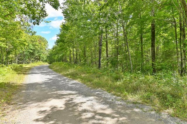 000 Kirk Kove & Steiger Road, Home with 0 bedrooms, 0 bathrooms and null parking in Central Frontenac ON | Image 13