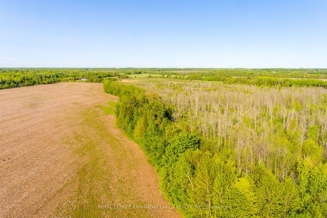 0 W1/2 Lot2 C2 Harvest Rd, Home with 0 bedrooms, 0 bathrooms and null parking in Kawartha Lakes ON | Image 10