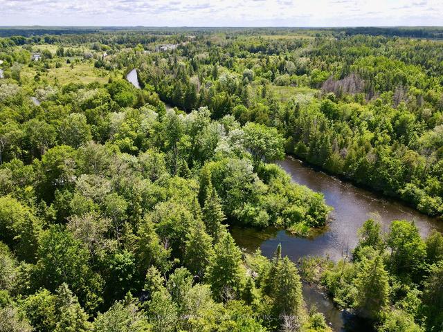 81 Mcguire Beach Rd, House detached with 2 bedrooms, 1 bathrooms and 6 parking in Kawartha Lakes ON | Image 19