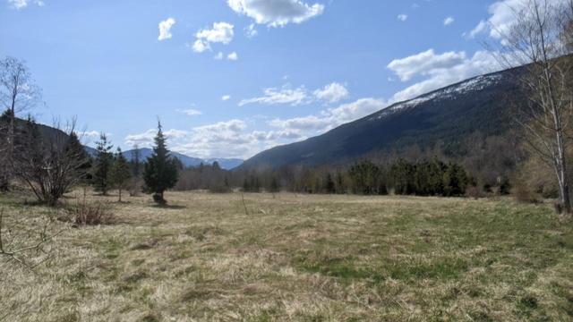 6771 Katelnikoff Road, House detached with 2 bedrooms, 1 bathrooms and null parking in Central Kootenay H BC | Image 18