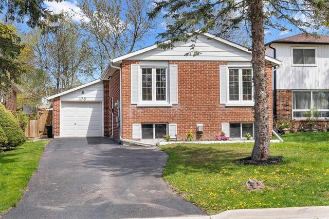 173 William Roe Blvd, House detached with 3 bedrooms, 2 bathrooms and 5 parking in Newmarket ON | Image 12