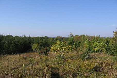 0 Pt Lot 16, Conc 11, Home with 0 bedrooms, 0 bathrooms and null parking in Kawartha Lakes ON | Image 8