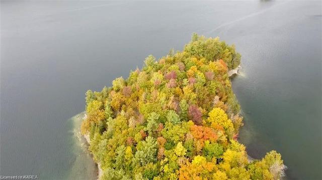 00 Canoe Lake Road, Home with 0 bedrooms, 0 bathrooms and null parking in South Frontenac ON | Image 5