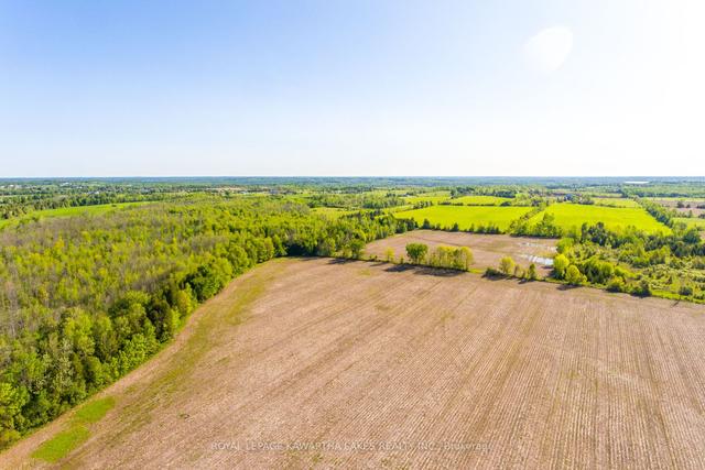 0 W1/2 Lot2 C2 Harvest Rd, Home with 0 bedrooms, 0 bathrooms and null parking in Kawartha Lakes ON | Image 6