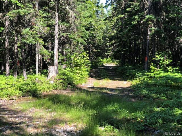 lot 19 Forty Mile Brook, Home with 2 bedrooms, 1 bathrooms and null parking in Bathurst NB | Image 4