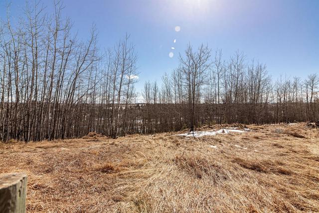 45060 39 2 Township, House detached with 4 bedrooms, 3 bathrooms and null parking in Clearwater County AB | Image 46