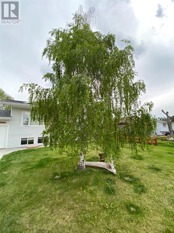1122 7 Avenue W, House detached with 4 bedrooms, 2 bathrooms and 4 parking in Beaverlodge AB | Image 47