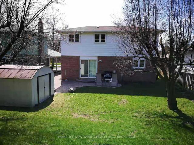 lower - 253 Waverly St N, House detached with 3 bedrooms, 2 bathrooms and 2 parking in Oshawa ON | Image 1