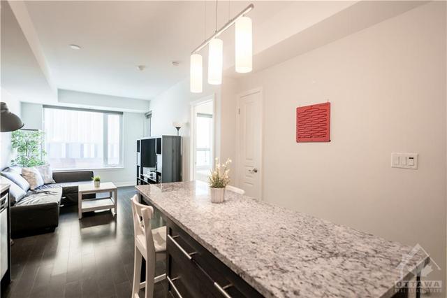211 - 238 Besserer Street, Condo with 1 bedrooms, 1 bathrooms and 1 parking in Ottawa ON | Image 4