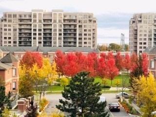 506 - 62 Suncrest Blvd, Condo with 2 bedrooms, 2 bathrooms and 1 parking in Markham ON | Image 14