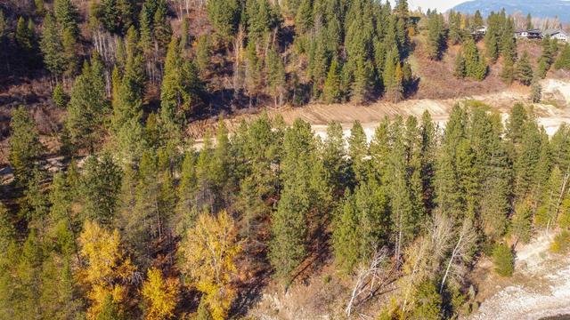 lot 9 Thompson Avenue, Home with 0 bedrooms, 0 bathrooms and null parking in Rossland BC | Image 2