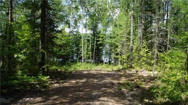 Lt 1 Lakewoods Dr, Home with 0 bedrooms, null bathrooms and null parking in Madawaska Valley ON | Image 4